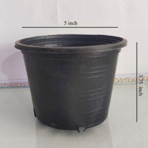 Black Plastic Pot 5 inches