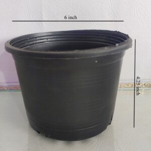 Black Plastic Pot 6 inches