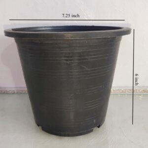 Black Plastic Pot 8 inches