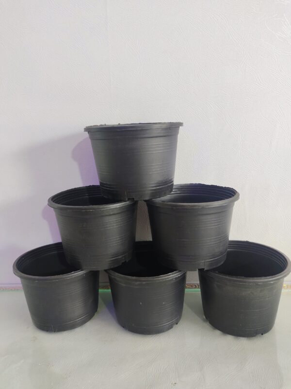 Black Plastic Pot 6 inches