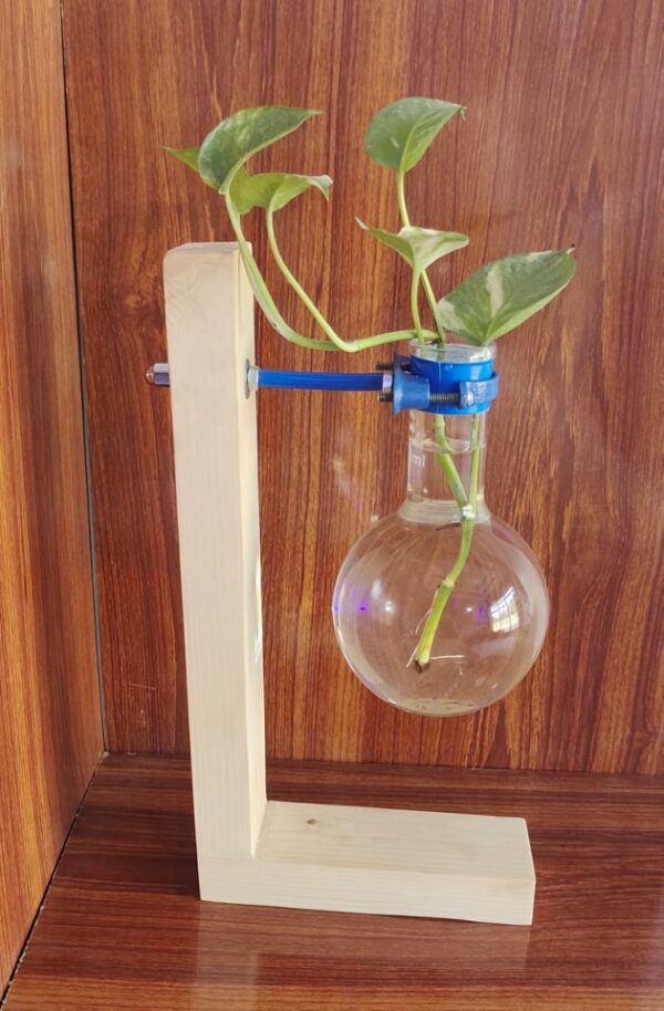 Wooden stand with Glass planter