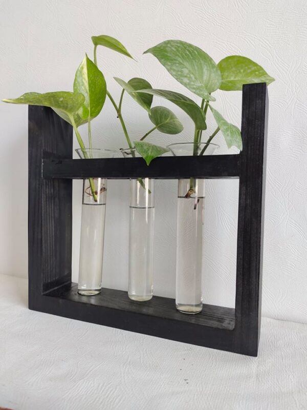 Plant Terrarium with 3 Glass Tubes