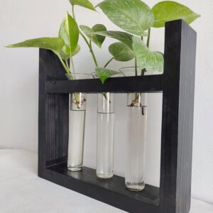 Plant Terrarium with 3 Glass Tubes
