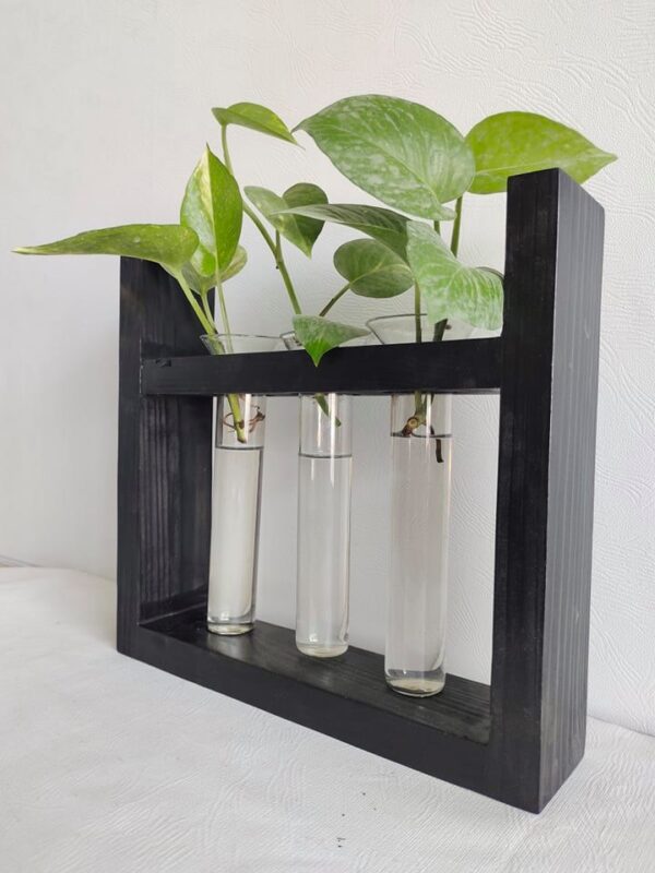 Plant Terrarium with 3 Glass Tubes