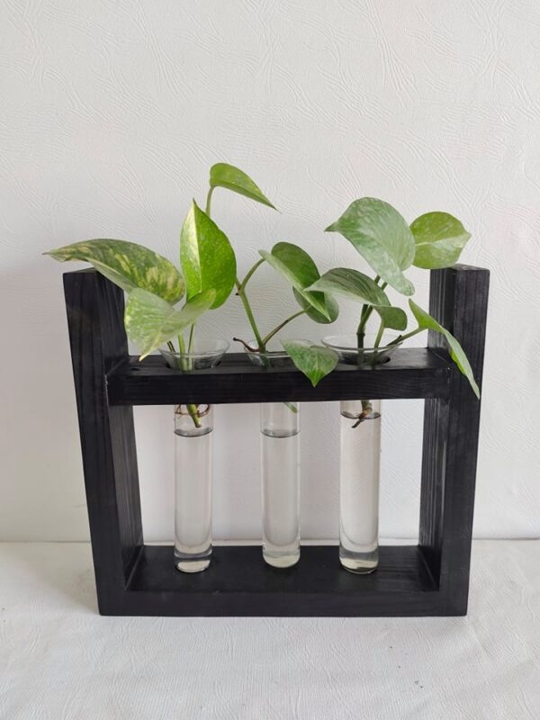 Plant Terrarium with 3 Glass Tubes