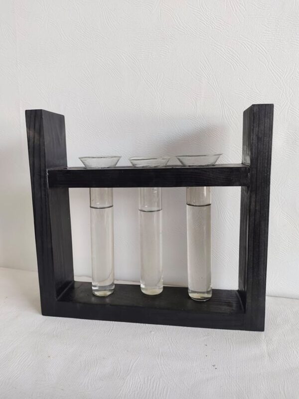 Plant Terrarium with 3 Glass Tubes