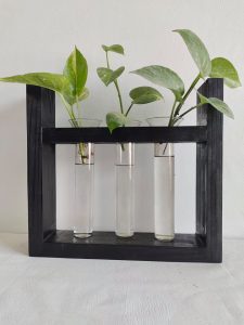 Plant Terrarium with 3 Glass Tubes