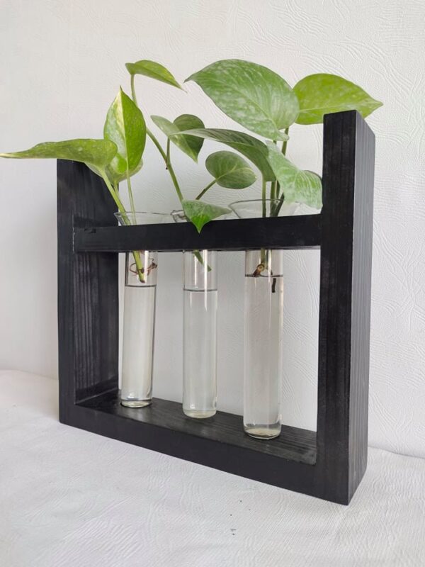 Plant Terrarium with 3 Glass Tubes