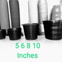 Black Plastic Pot 10 inches