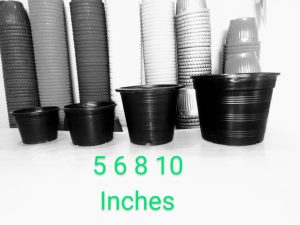 Black Plastic Pot 10 inches