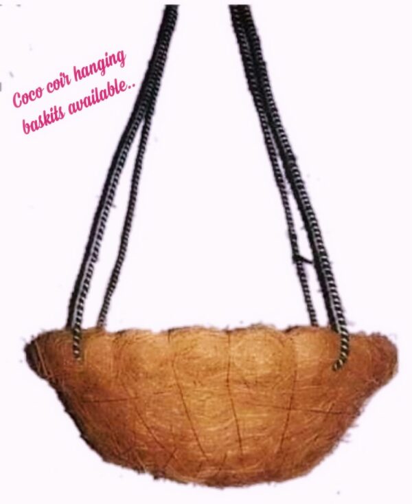 Coconut Hanging Basket 9 inches