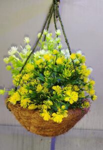 Coconut hanging baskets 12 inches