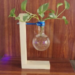 Wooden stand with Glass planter
