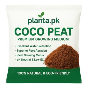 Coco Peat