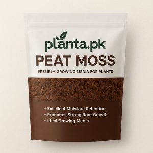 Peat Moss