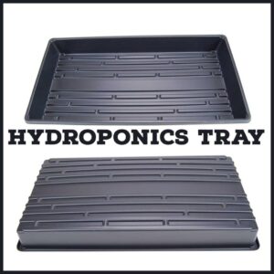 Seedling Tray (Hydroponic tray)