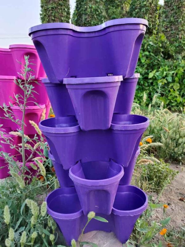 Pack of 1 Vertical Tower Purple