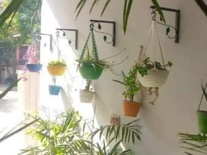 Pack of 5 Stylish Hanging Baskets
