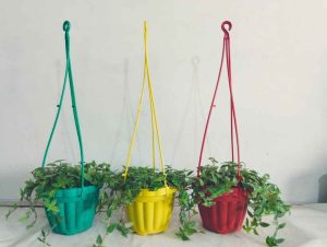 Pack of 3 Stylish Hanging Pots with Turtle vine