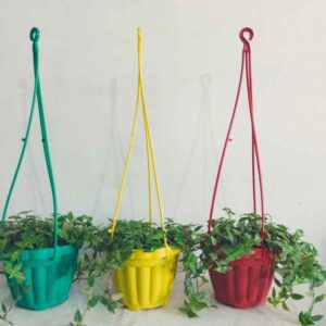 Pack of 3 Stylish Hanging Pots with Turtle vine