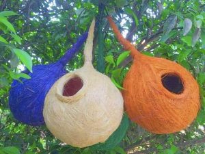Pack of 2 Organic Birds Nests