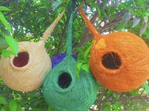 Pack of 4 Organic Birds Nests