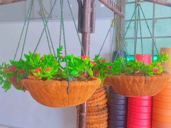 Pack of 4 Coconut Hanging Baskets with Plants