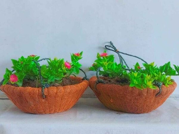 Pack of 4 Coconut Hanging Baskets with Plants