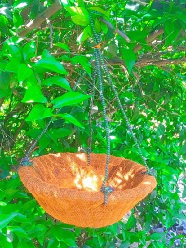 Coconut Hanging Basket 12 inches