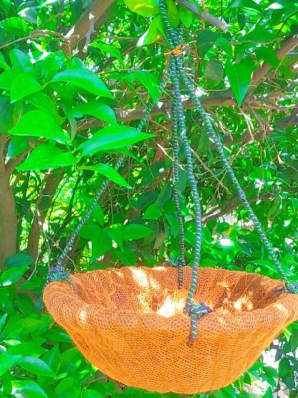 Coconut Hanging Basket 12 inches