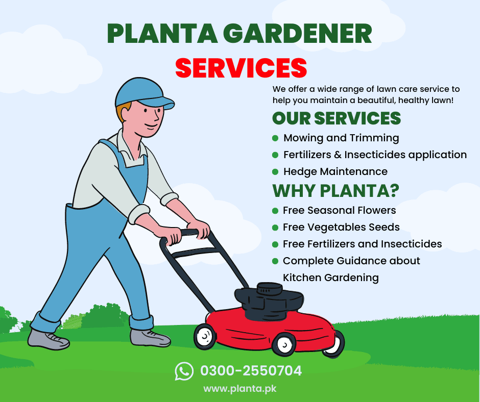 Gardener Service