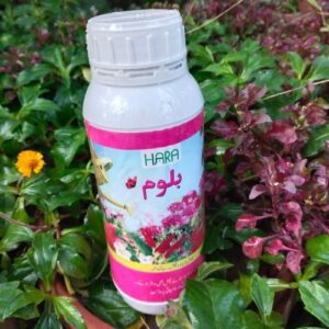 Bloom (Organic Fertilizer)