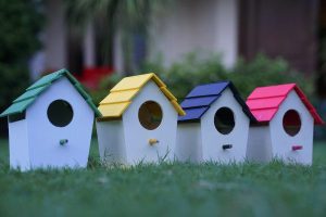 Bird House (PVC)