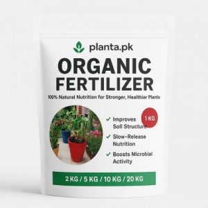 Organic Fertilizer