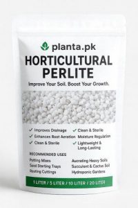 Perlite