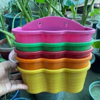 Wall Pots (Pack of 5)