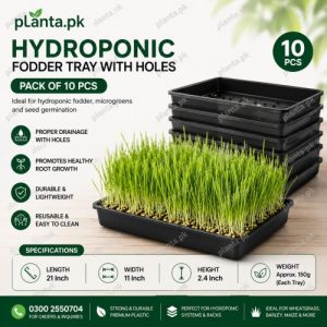 Fodder Tray (Pack of 10)