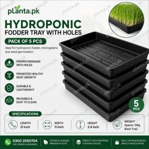 Fodder Tray (Pack of 5)