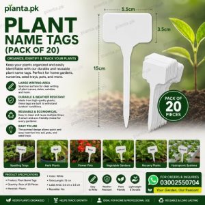 Plant Name Tags